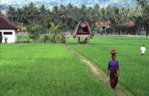 Indonesia Indonesia