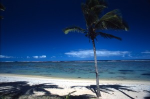 Fiji . the Ocean Fiji