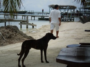 America Centrale - Belize - Caye Caulker