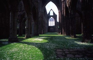 Galles - Tintern Abbey