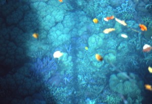 sea