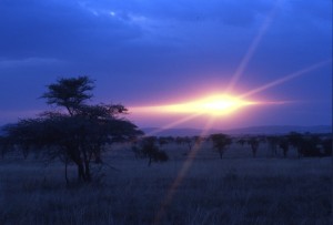 Tanzania - tramonto al Serengeti
