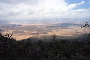 Tanzania - il cratere di Ngoro Ngoro