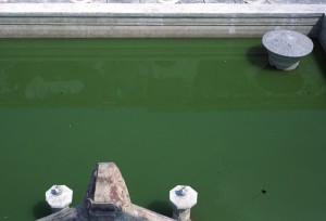 Indonesia - Yogyakarta