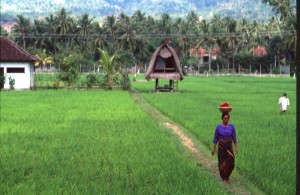 Indonesia - Bali - Lovina