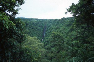 Samoa - cascate di Papapapai-tai