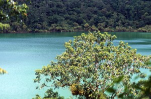 Samoa - Lago Lanoto’ - cratere vulcanico