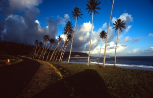Samoa - Saleapaga - lungo la costa sud