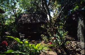 Samoa - Apia - Hidden Garden
