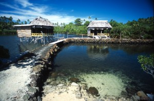 Samoa - laguna delle tartarughe