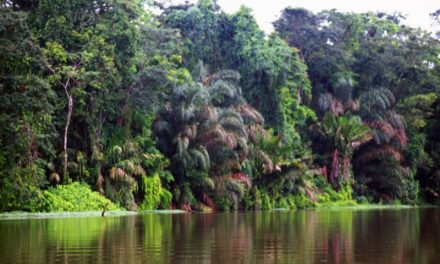 20/09/2008 – Costa Rica