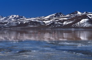 Bolivia - Laguna Colorada Bolivia - Laguna Colorada