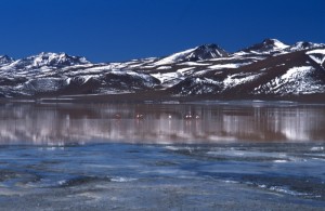 Bolivia - Laguna Colorada