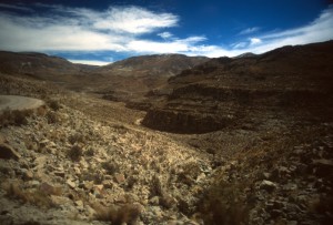 Bolivia - Ande - sierre boliviane Bolivia - Ande - sierre boliviane