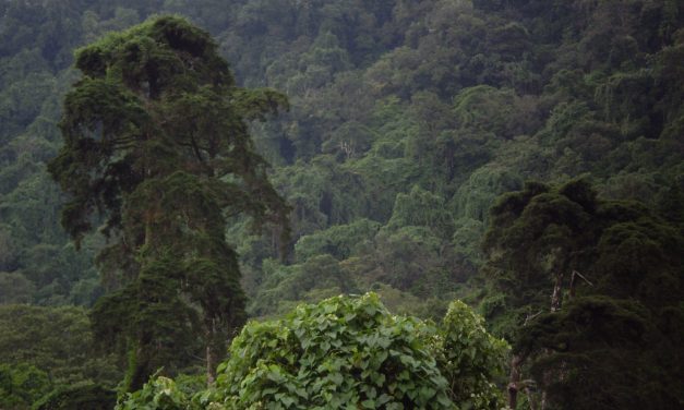 09/09/2008 – El Salvador