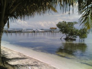 caye caulker