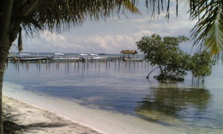 02/09/2008 – In Belize