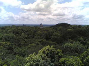 tikal
