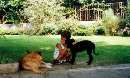 5 x mille: fate uno sforzo!