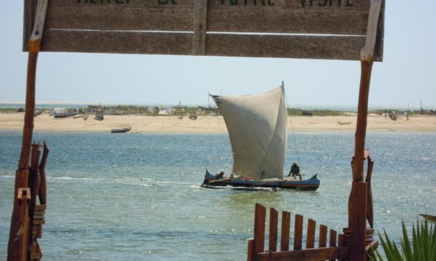 Di ritorno dal Madagascar