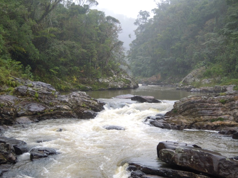 Madagascar - Ranomafana park Madagascar - Ranomafana park