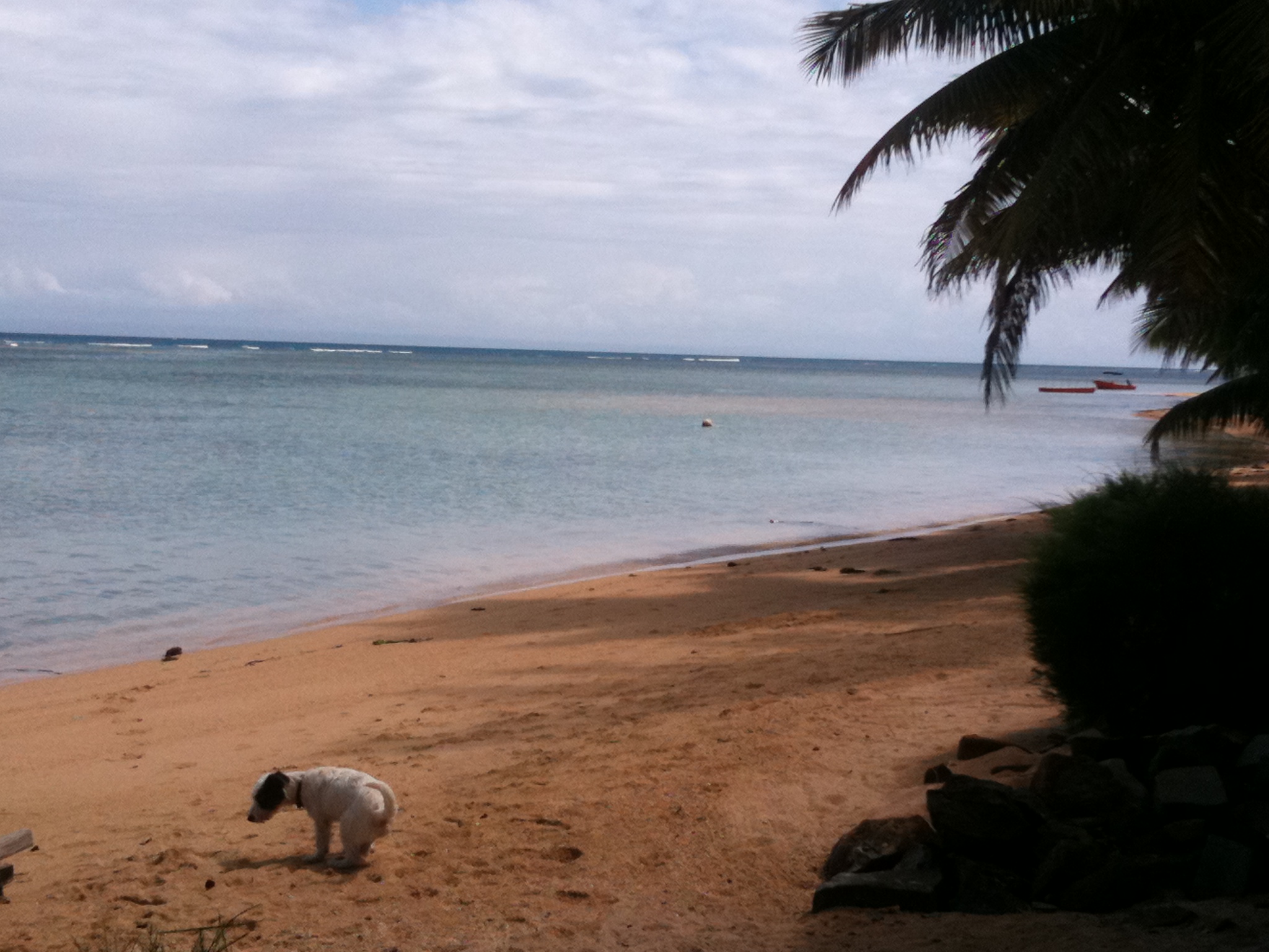 Madagascar - Ile Saint Marie Madagascar - Ile Saint Marie