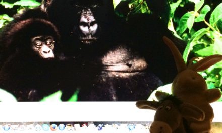 Agosto 2014….domani si parte!