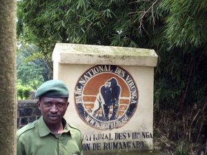 Ingresso Virunga