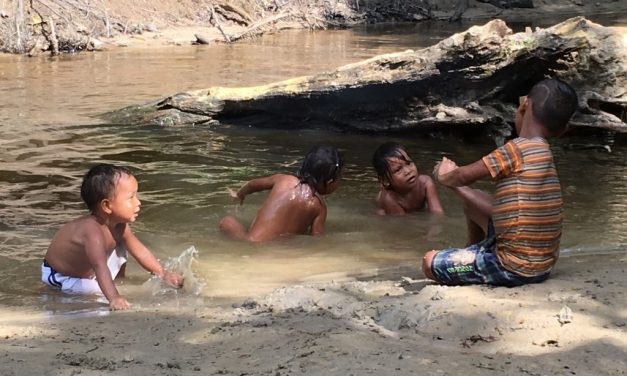 Amazzonia 2: dal 16 al 24 agosto…