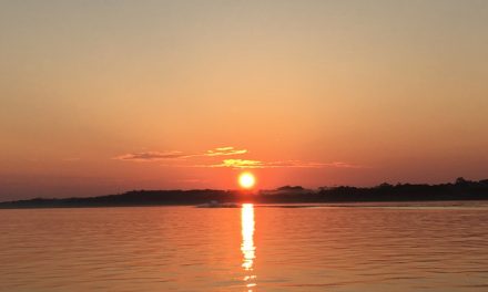 Primi giorni in Amazzonia – 11/16 agosto