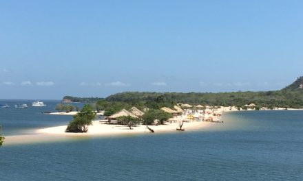 Amazzonia 4: Alter do Chao – 31 agosto 2 settembre