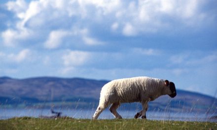 Scozia 2010 – diario, itinerario e fotografie