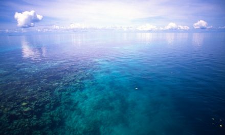 Caye Caulker Blue Hole
