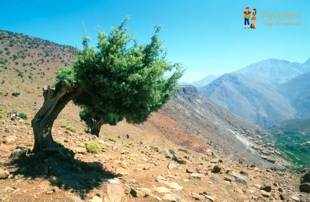 Morocco: Trekking in the Atlas Mountains