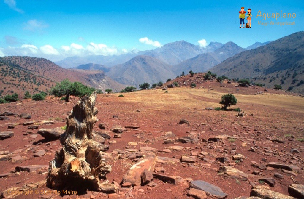 Morocco: Trekking in the Atlas Mountains