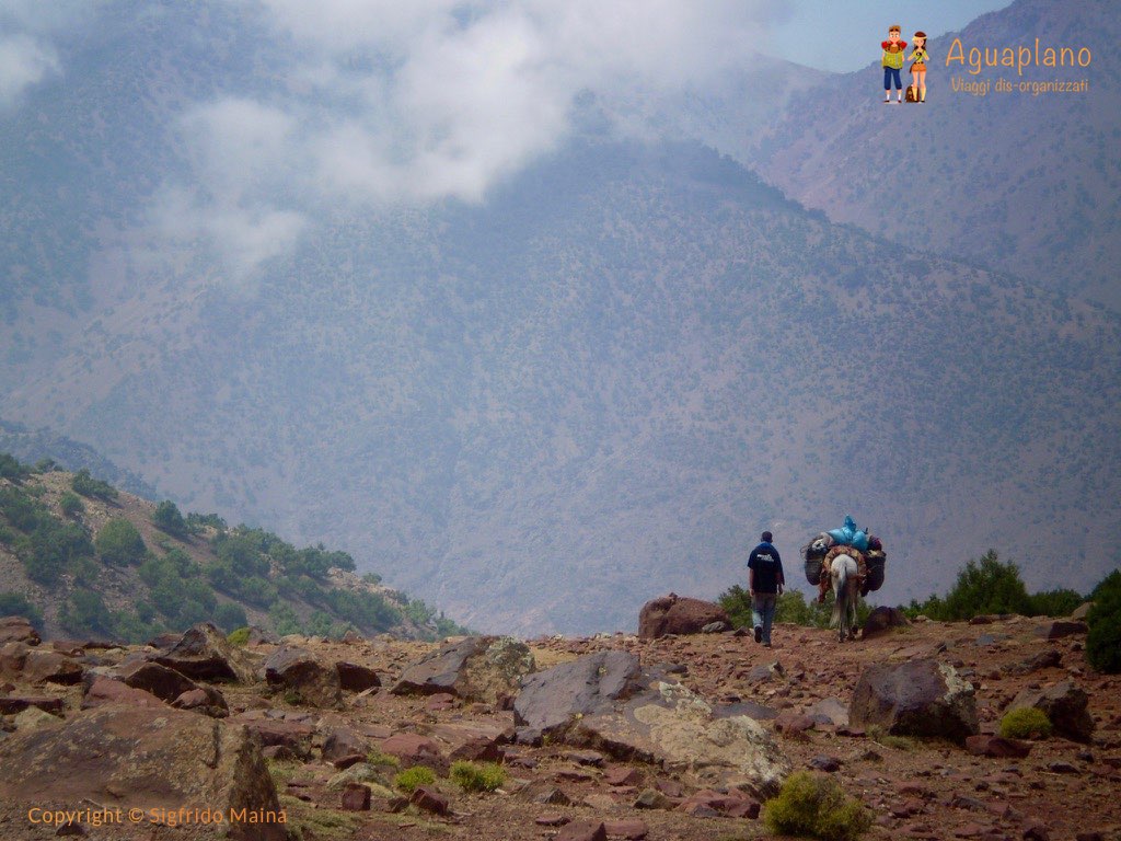 Morocco: Trekking in the Atlas Mountains