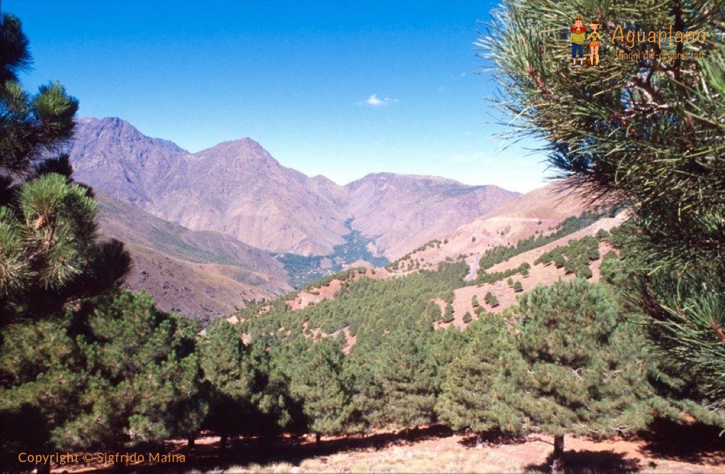 Morocco: Trekking in the Atlas Mountains
