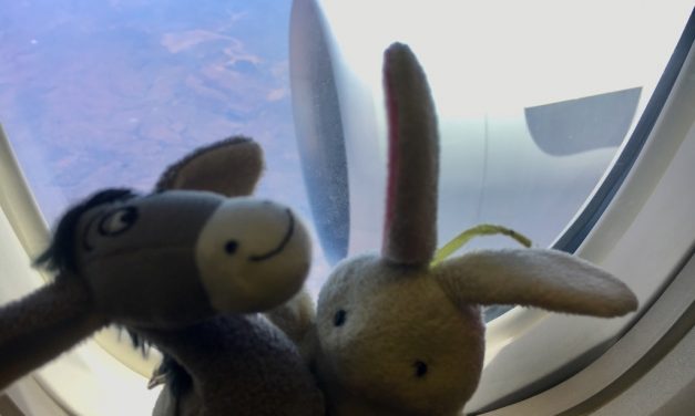 First impressions of Zambia: is it a country backpackers-friendly?