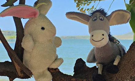 Follow the Donkey and The Rabbit!