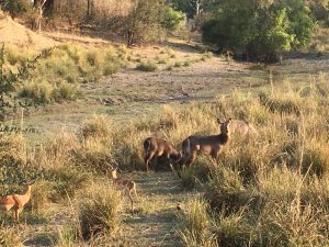 immagini Zambia Malawi Mozambico