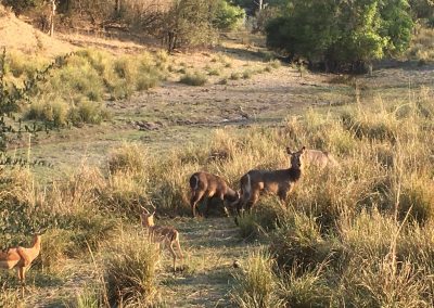 Photos Zambia Malawi Mozambico
