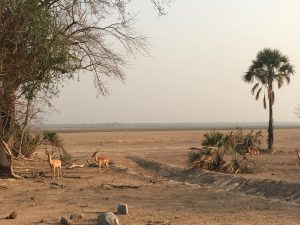 Photos Zambia Malawi Mozambico