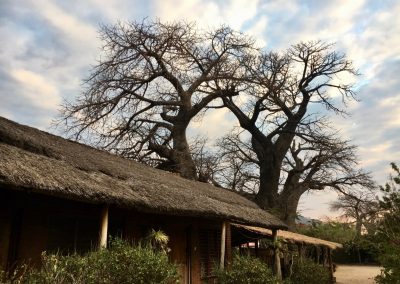 Photos Zambia Malawi Mozambico