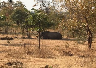 Photos Zambia Malawi Mozambico