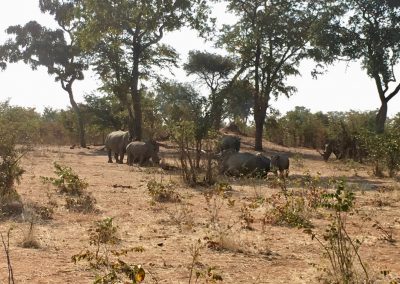 Photos Zambia Malawi Mozambico