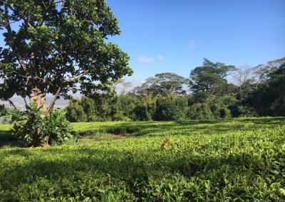 Photos Zambia Malawi Mozambico