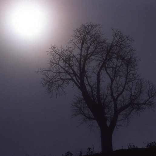 Early morning on the Tsiribina River
