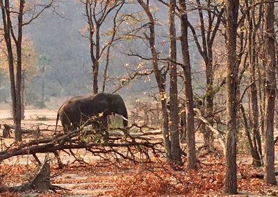 Photos Zambia Malawi Mozambico