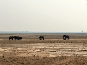 Photos Zambia Malawi Mozambico