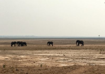 Photos Zambia Malawi Mozambico